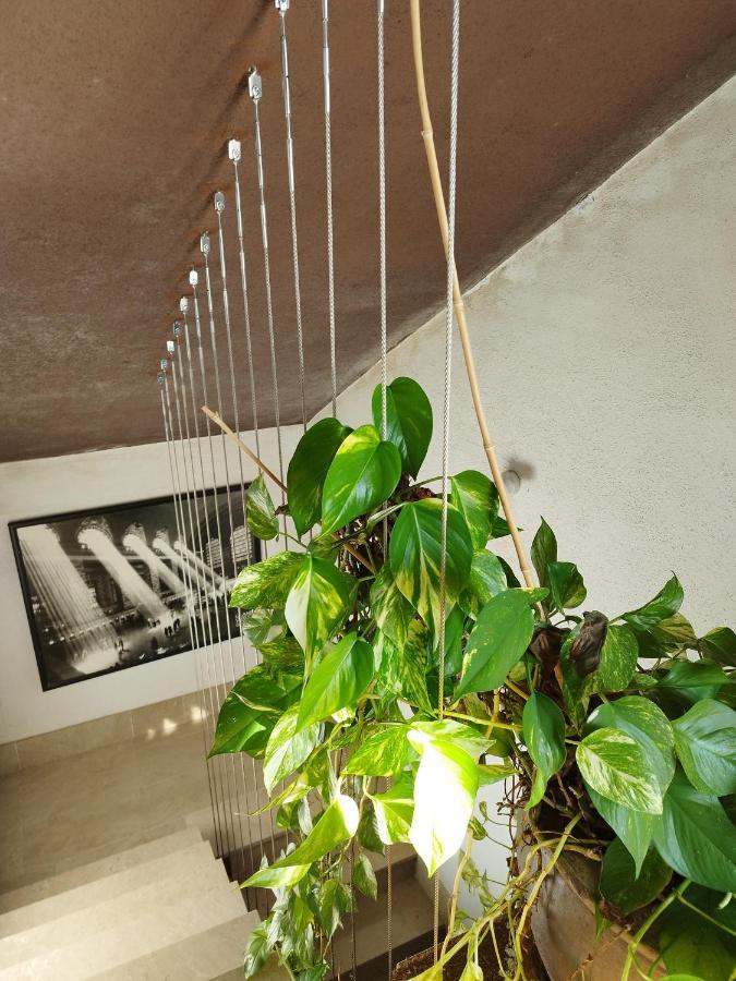Loft A Roda De Bera Exterior photo